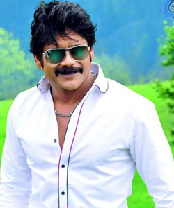 nagarjuna,om namo venkatesaya,sharwanand,shatamanam bhavathi  నాగ్ శైలిని ఎవరూ.. ఊహించలేరు..!!